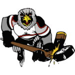 Logo der Hassfurt Hawks 2016