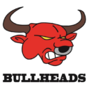 Logo der Bullheads